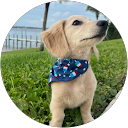 Andrew Townsend profile picture