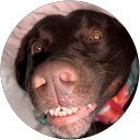 michael milko profile picture
